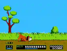 Duck Hunt (World)
